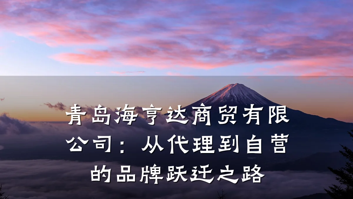 青岛海亨达商贸有限公司:从代理到自营的品牌跃迁之路