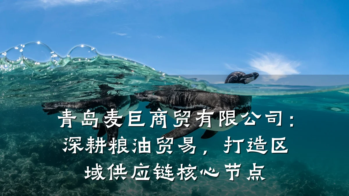 青岛麦巨商贸有限公司：深耕粮油贸易，打造区域供应链核心节点
