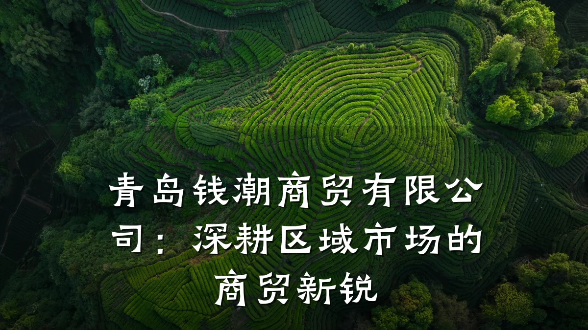 青岛钱潮商贸有限公司：深耕区域市场的商贸新锐