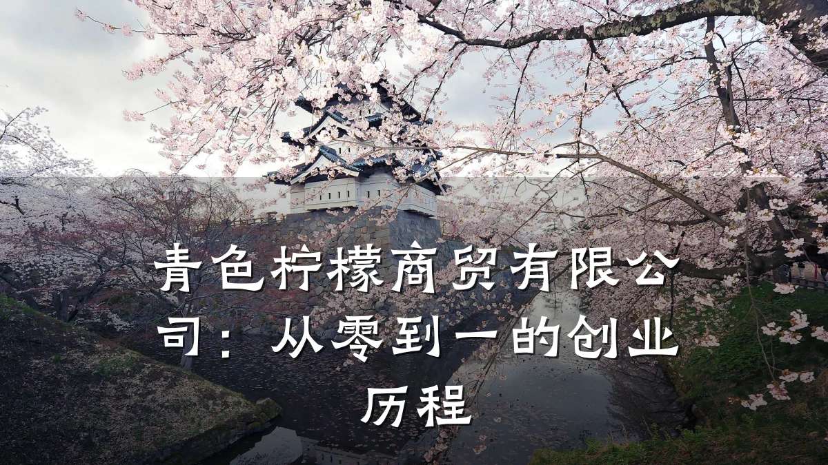 青色柠檬商贸有限公司：从零到一的创业历程