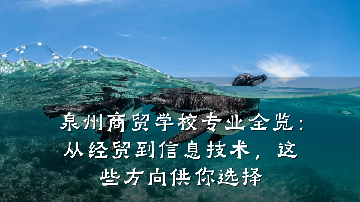 泉州商贸学校专业全览：从经贸到信息技术，这些方向供你选择