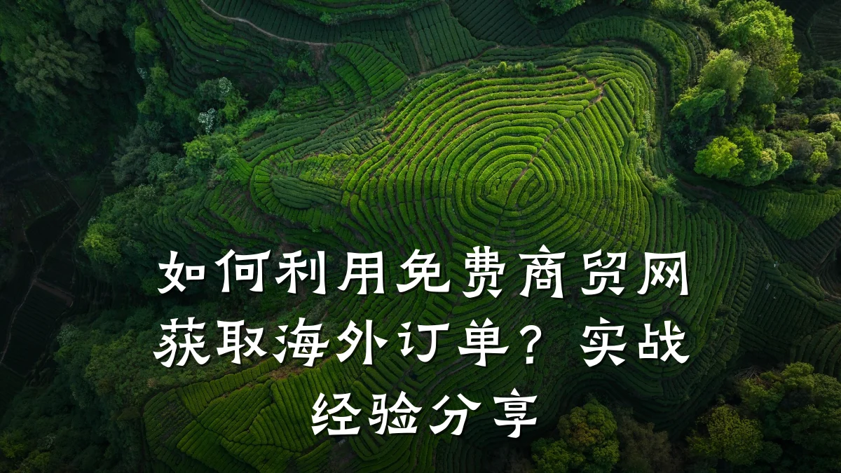如何利用免费商贸网获取海外订单?实战经验分享