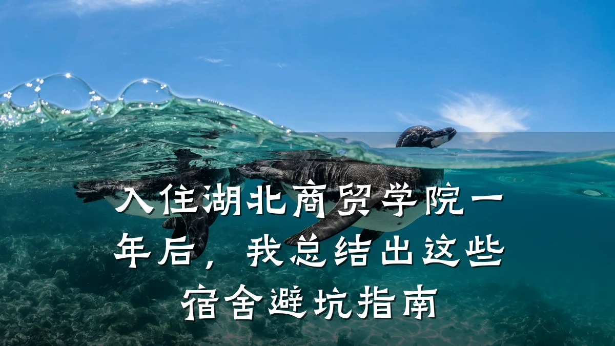 入住湖北商贸学院一年后，我总结出这些宿舍避坑指南