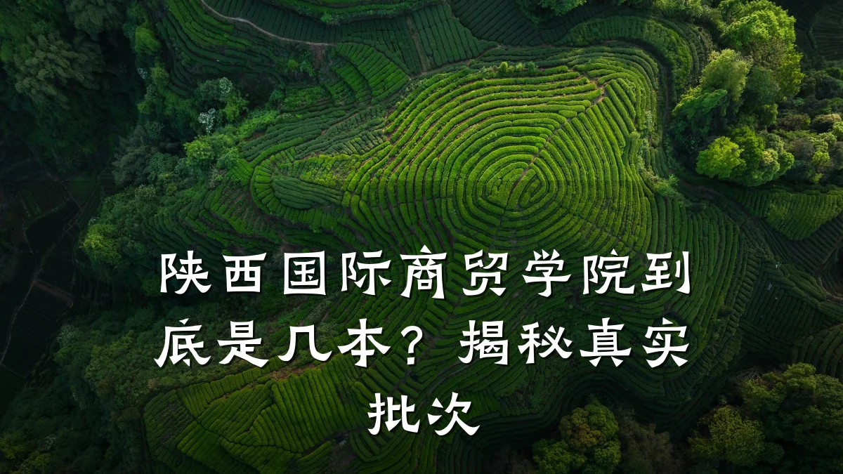 陕西国际商贸学院到底是几本？揭秘真实批次