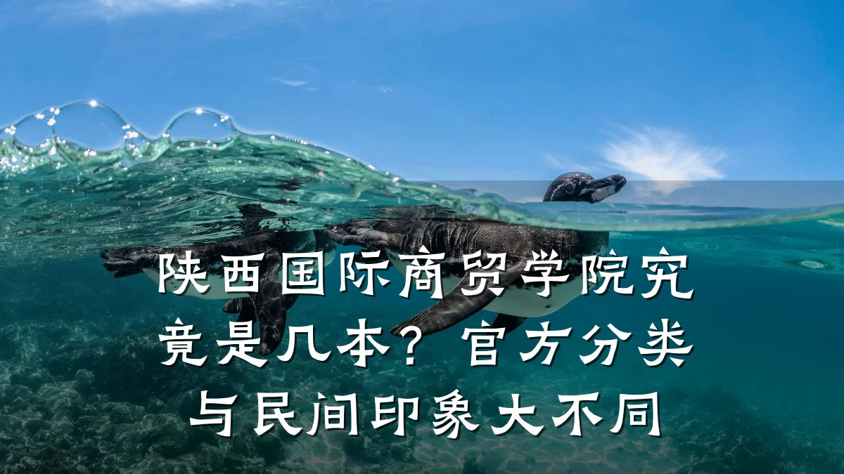 陕西国际商贸学院究竟是几本？官方分类与民间印象大不同