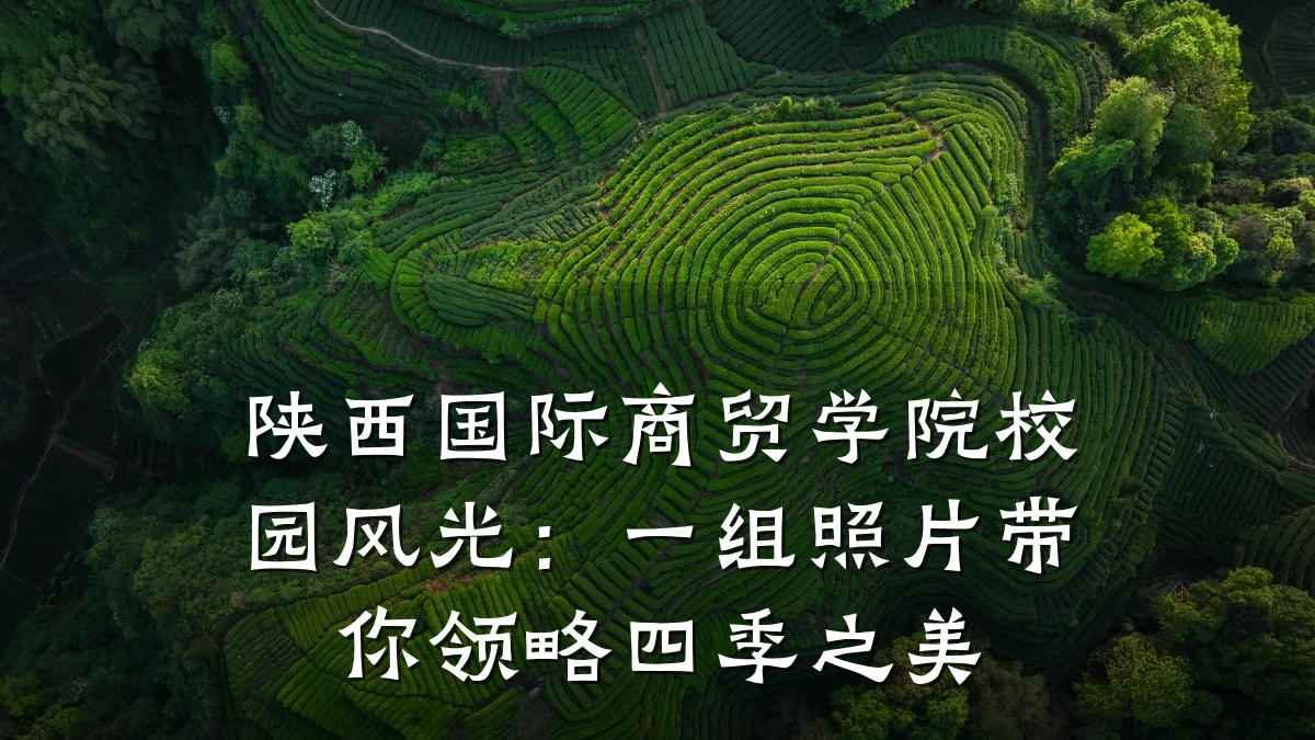 陕西国际商贸学院校园风光:一组照片带你领略四季之美