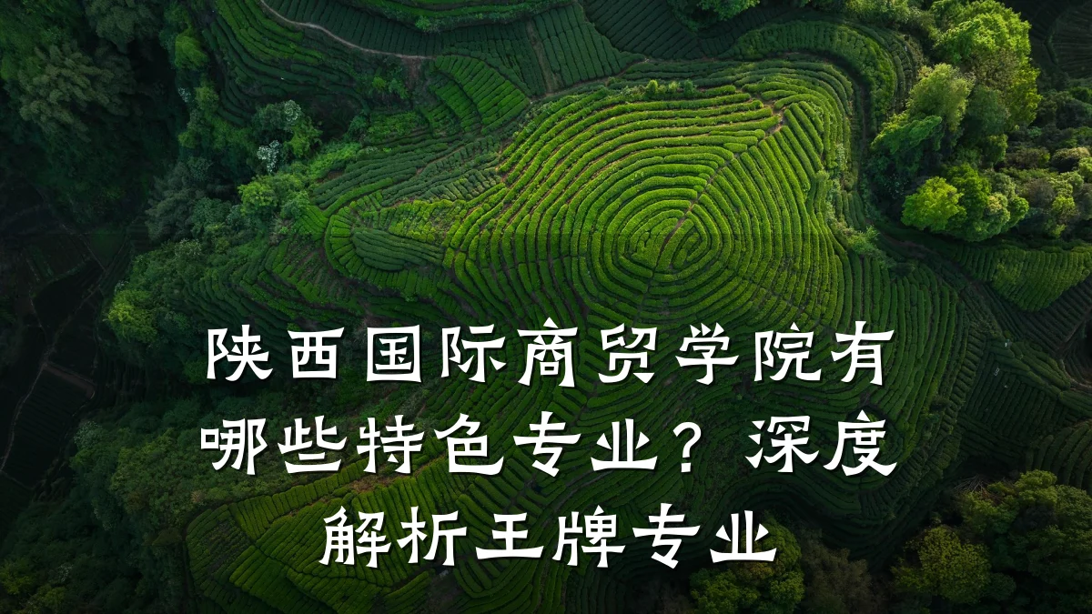 陕西国际商贸学院有哪些特色专业?深度解析王牌专业