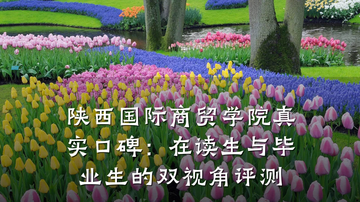 陕西国际商贸学院真实口碑:在读生与毕业生的双视角评测