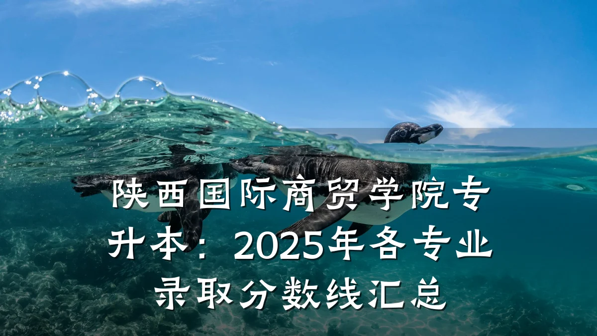 陕西国际商贸学院专升本:2025年各专业录取分数线汇总