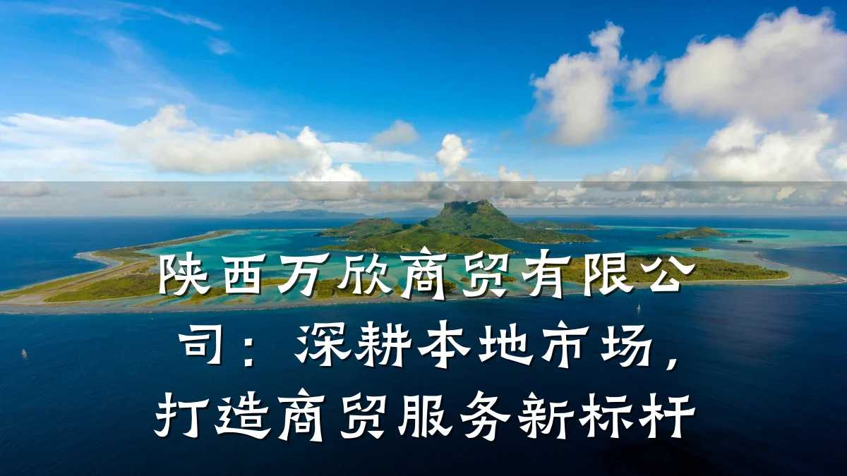 陕西万欣商贸有限公司:深耕本地市场,打造商贸服务新标杆