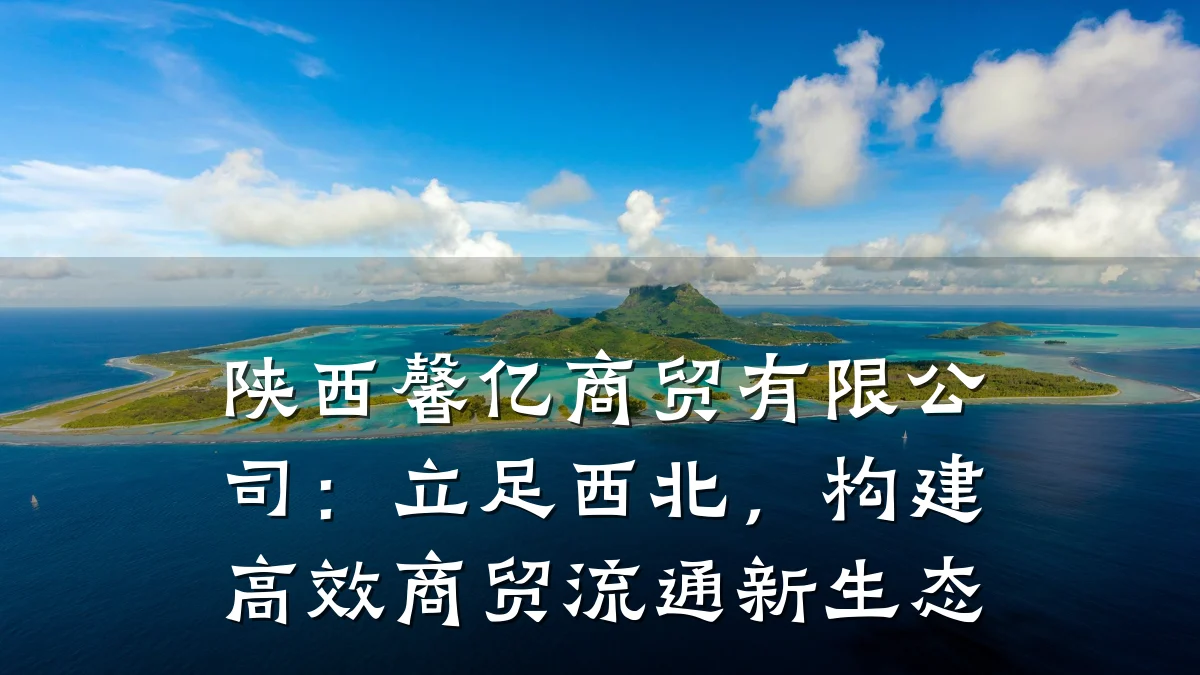 陕西馨亿商贸有限公司:立足西北,构建高效商贸流通新生态