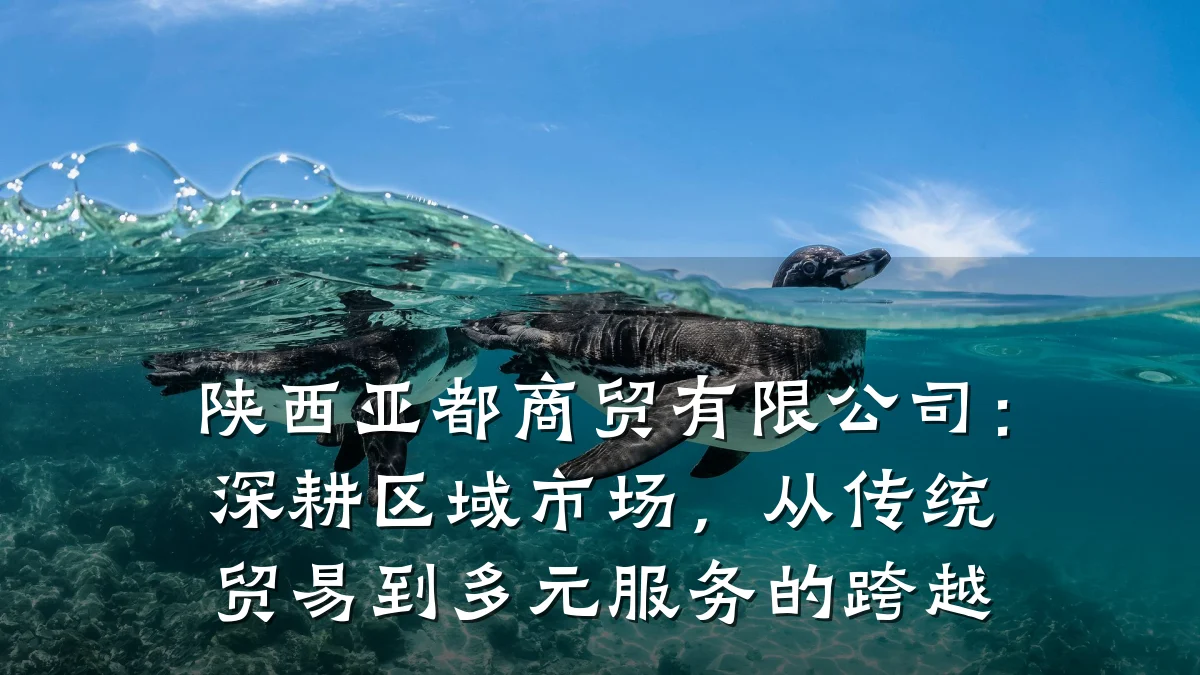 陕西亚都商贸有限公司:深耕区域市场,从传统贸易到多元服务的跨越