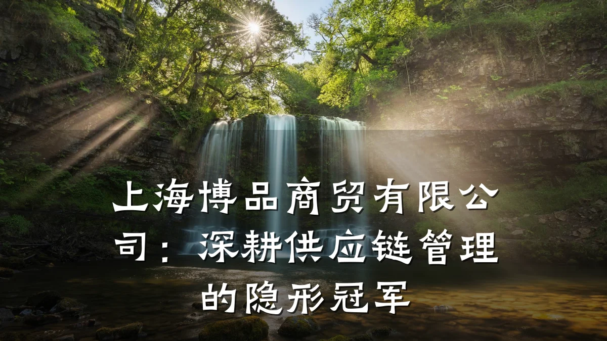 上海博品商贸有限公司：深耕供应链管理的隐形冠军
