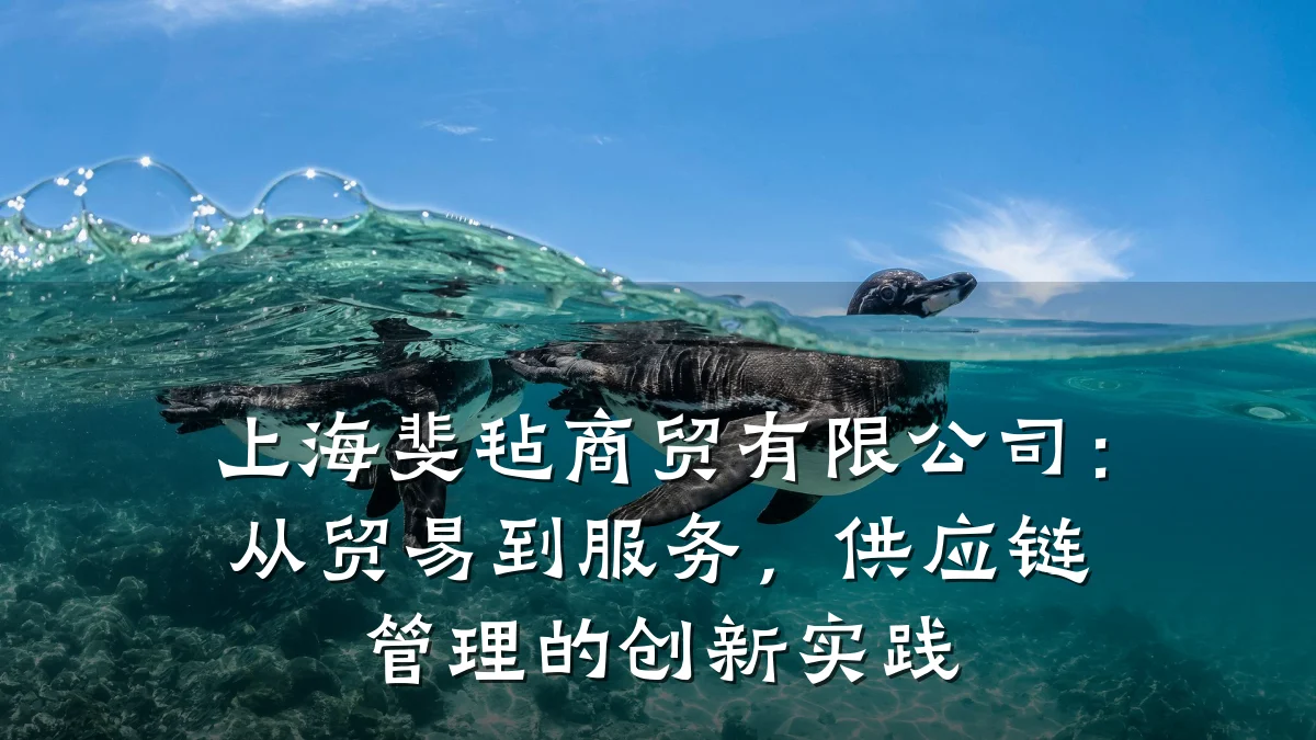 上海斐毡商贸有限公司:从贸易到服务,供应链管理的创新实践