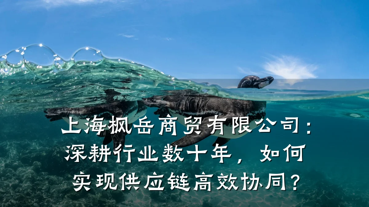 上海枫岳商贸有限公司:深耕行业数十年,如何实现供应链高效协同?