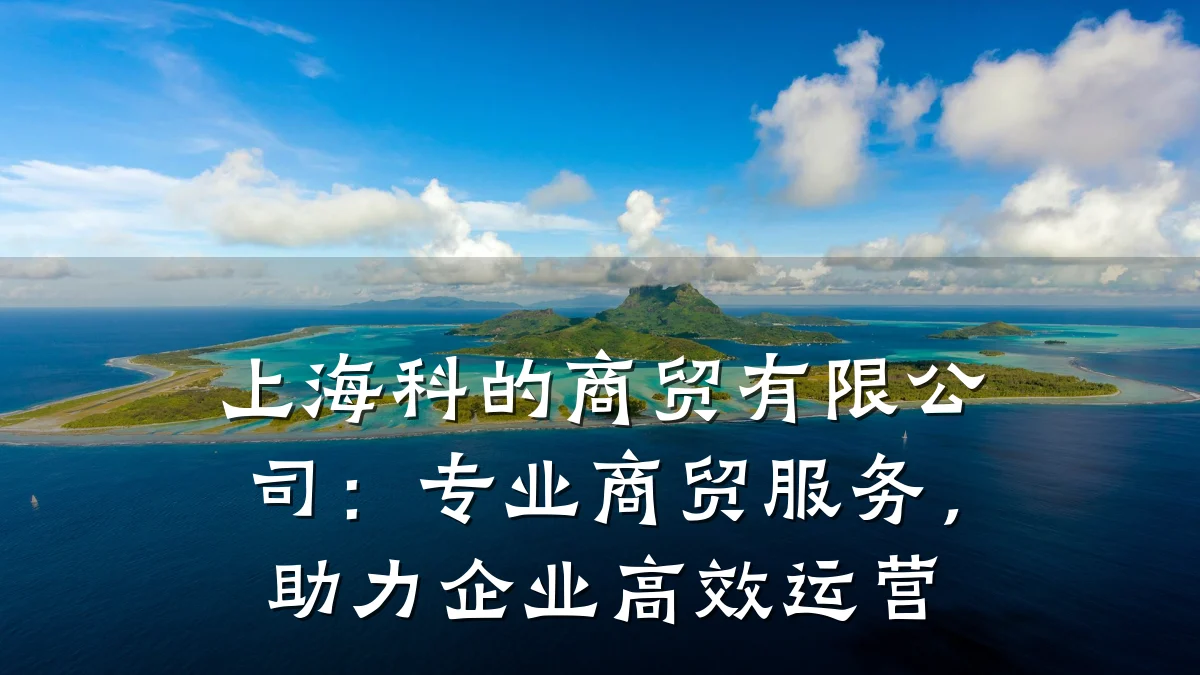 上海科的商贸有限公司:专业商贸服务,助力企业高效运营