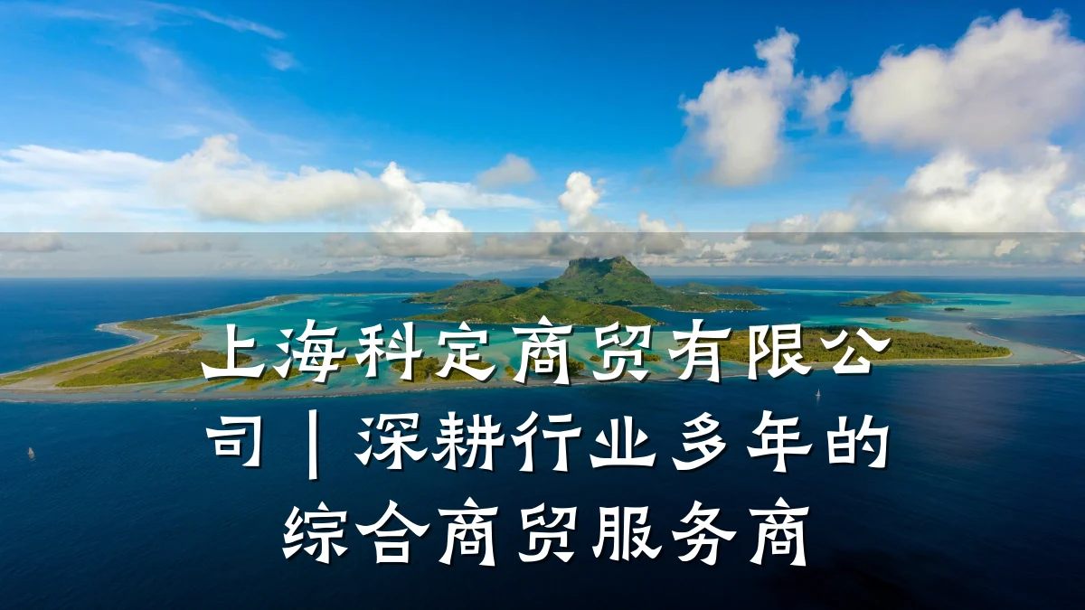 上海科定商贸有限公司|深耕行业多年的综合商贸服务商