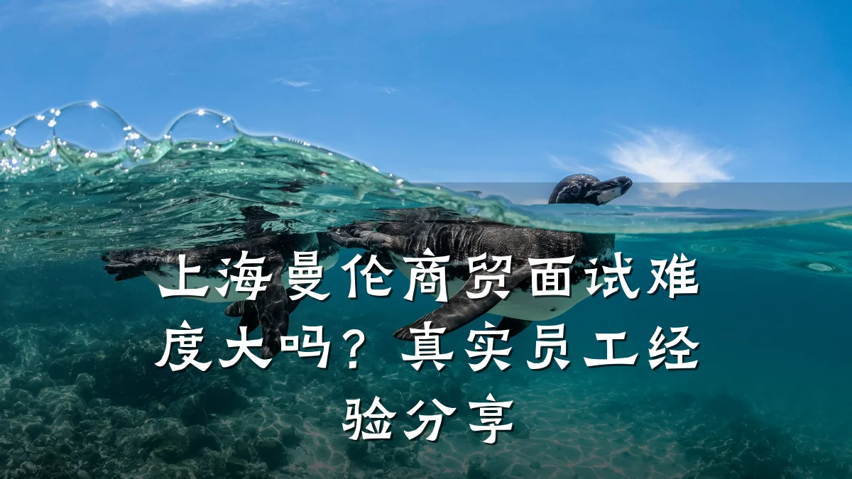上海曼伦商贸面试难度大吗?真实员工经验分享