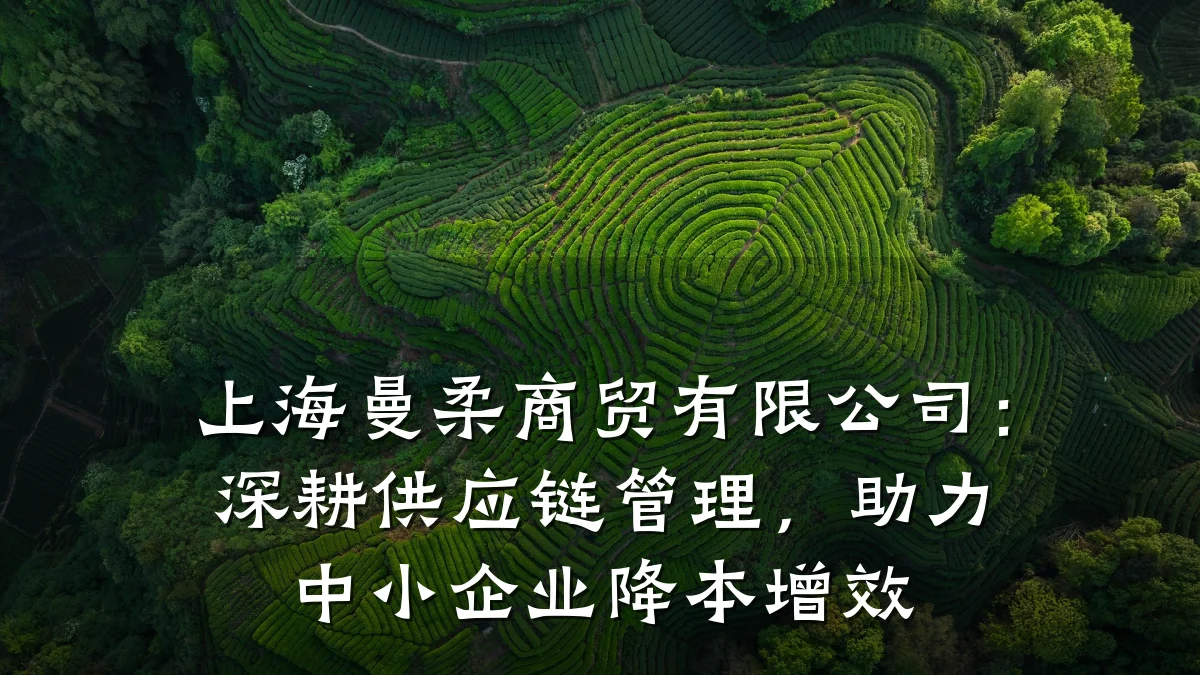 上海曼柔商贸有限公司：深耕供应链管理，助力中小企业降本增效