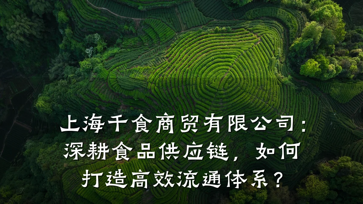 上海千食商贸有限公司：深耕食品供应链，如何打造高效流通体系？