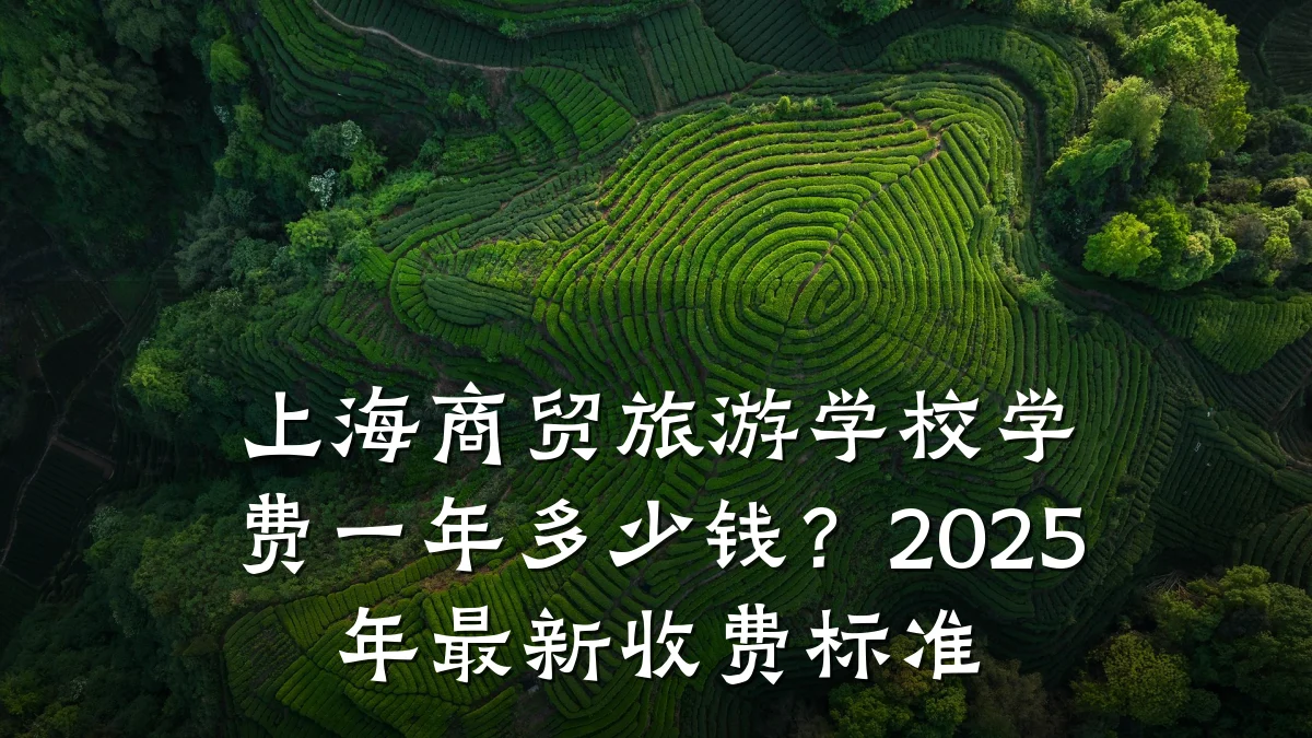 上海商贸旅游学校学费一年多少钱?2025年最新收费标准