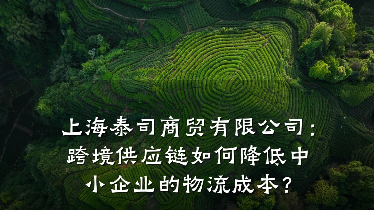 上海泰司商贸有限公司：跨境供应链如何降低中小企业的物流成本？