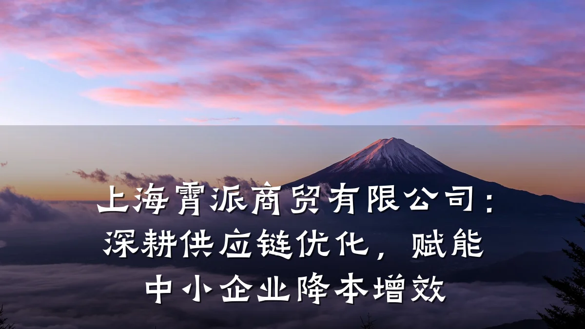 上海霄派商贸有限公司：深耕供应链优化，赋能中小企业降本增效