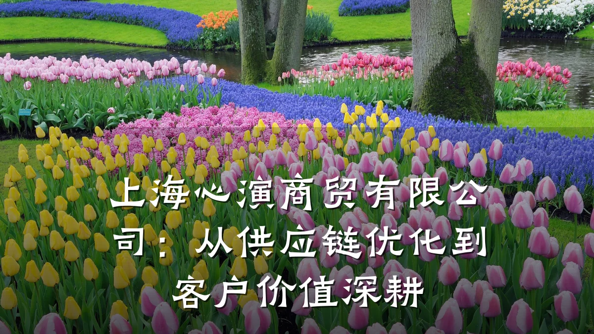 上海心演商贸有限公司：从供应链优化到客户价值深耕