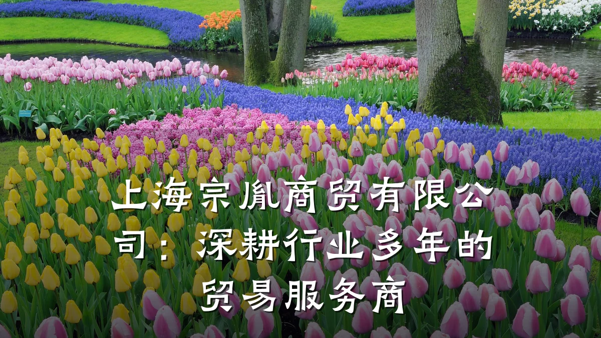 上海宗胤商贸有限公司:深耕行业多年的贸易服务商