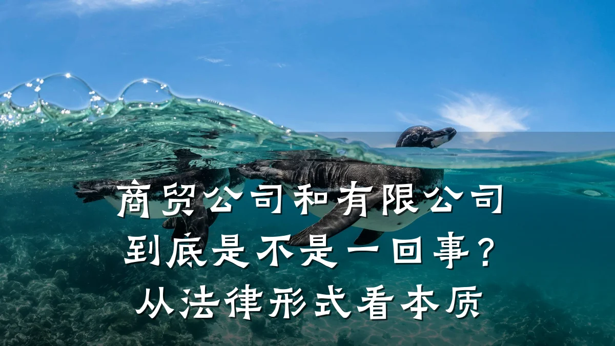 商贸公司和有限公司到底是不是一回事？从法律形式看本质