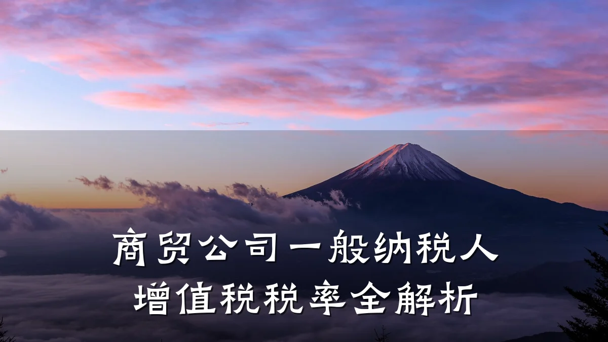 商贸公司一般纳税人增值税税率全解析