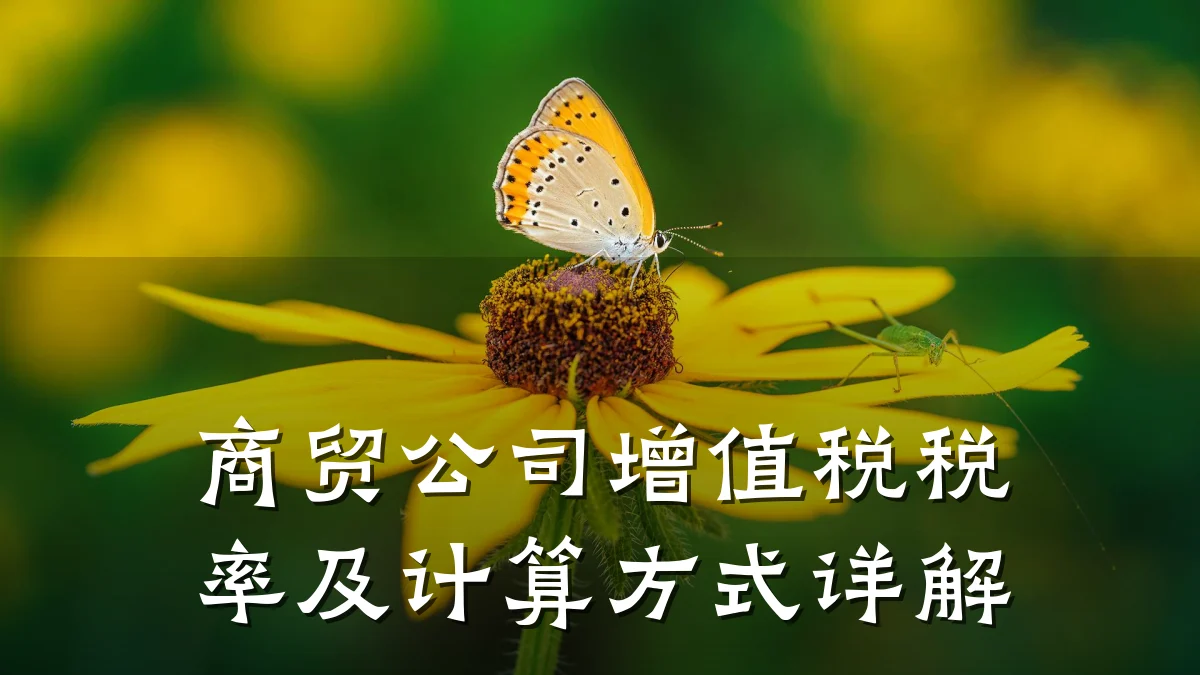 商贸公司增值税税率及计算方式详解