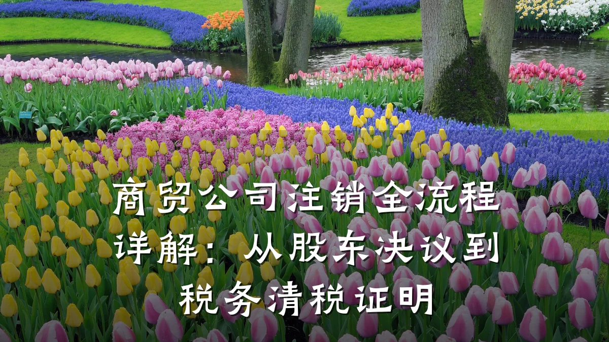 商贸公司注销全流程详解:从股东决议到税务清税证明