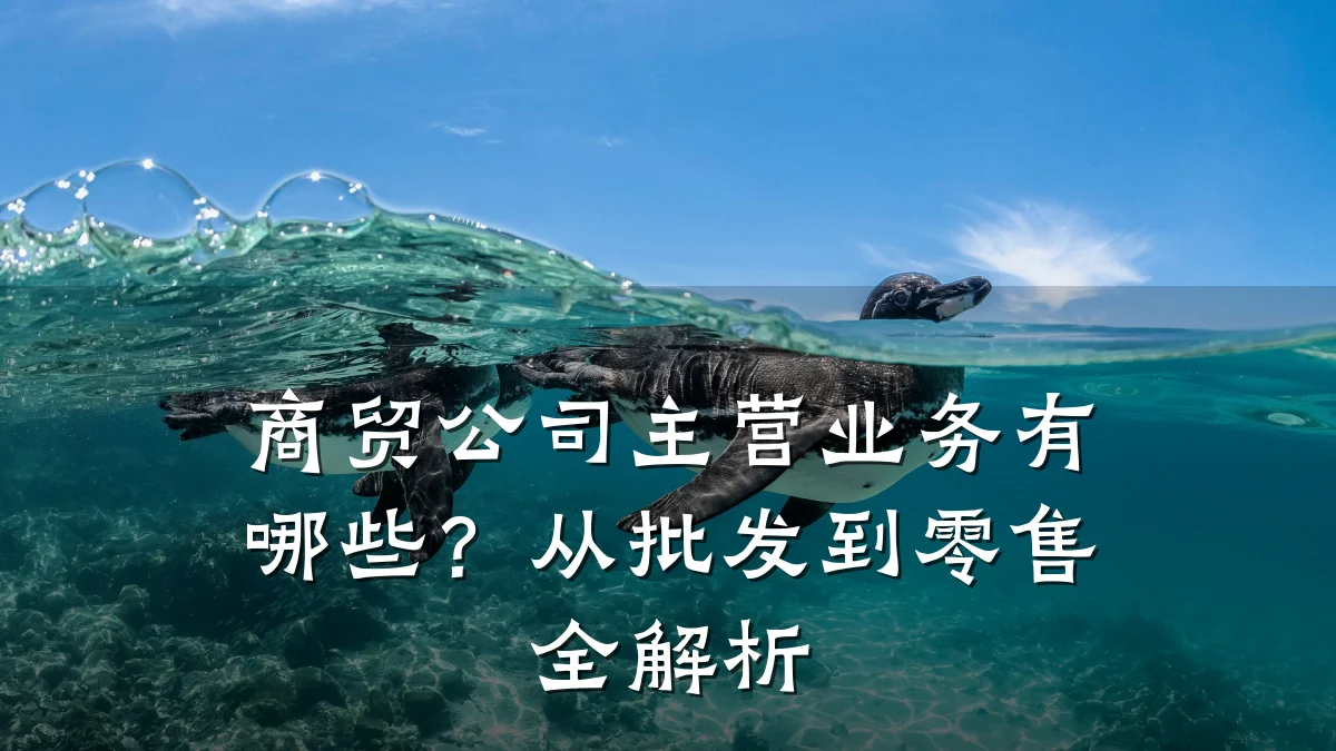 商贸公司主营业务有哪些?从批发到零售全解析
