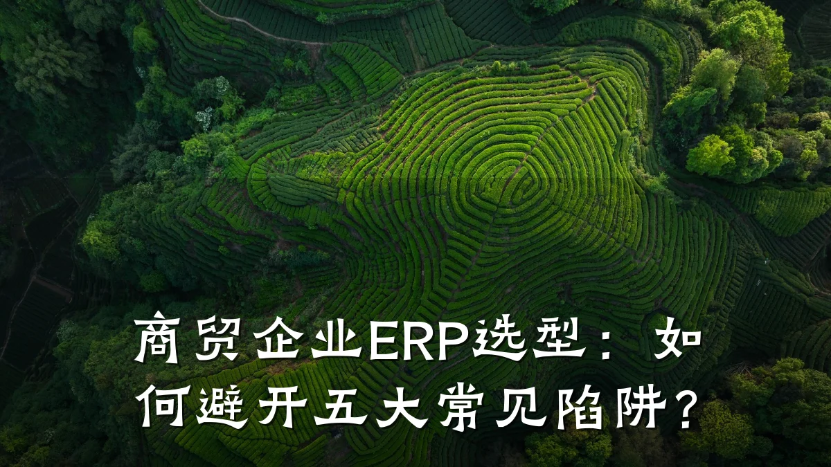 商贸企业ERP选型:如何避开五大常见陷阱?