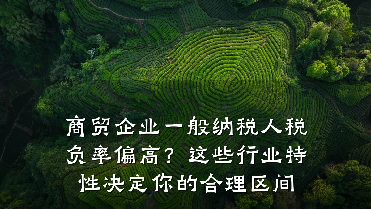 商贸企业一般纳税人税负率偏高?这些行业特性决定你的合理区间