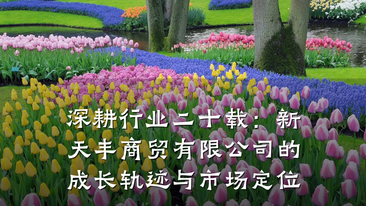 深耕行业二十载:新天丰商贸有限公司的成长轨迹与市场定位