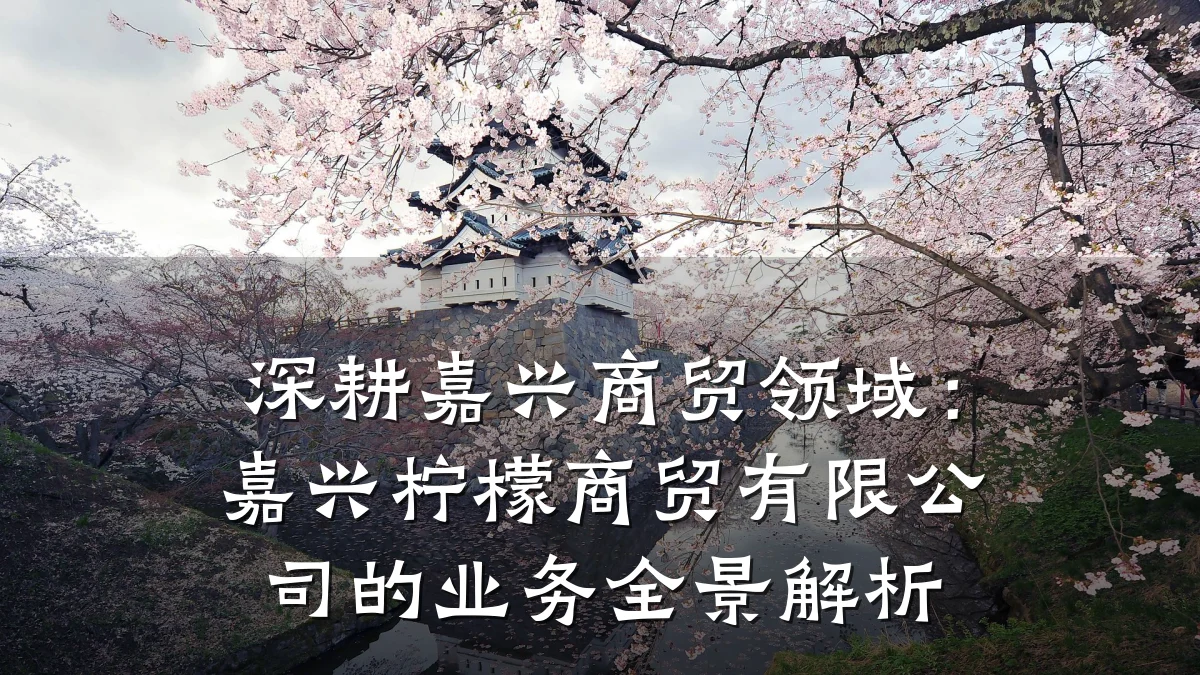 深耕嘉兴商贸领域:嘉兴柠檬商贸有限公司的业务全景解析
