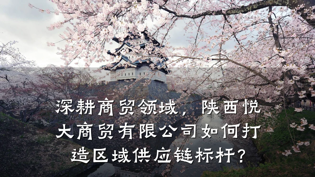 深耕商贸领域,陕西悦大商贸有限公司如何打造区域供应链标杆?