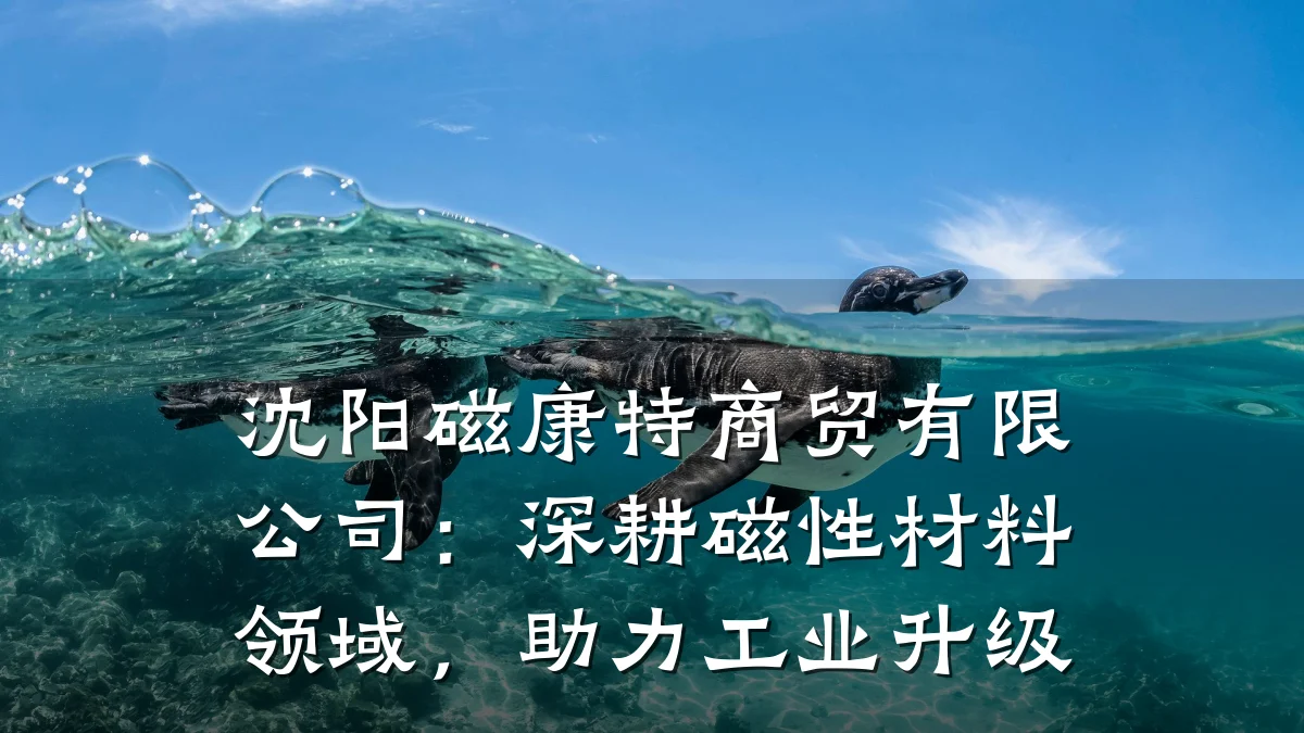 沈阳磁康特商贸有限公司：深耕磁性材料领域，助力工业升级