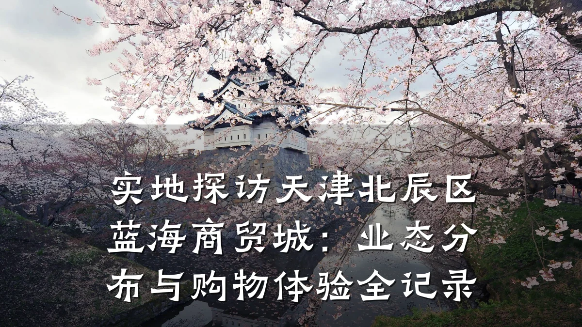 实地探访天津北辰区蓝海商贸城:业态分布与购物体验全记录