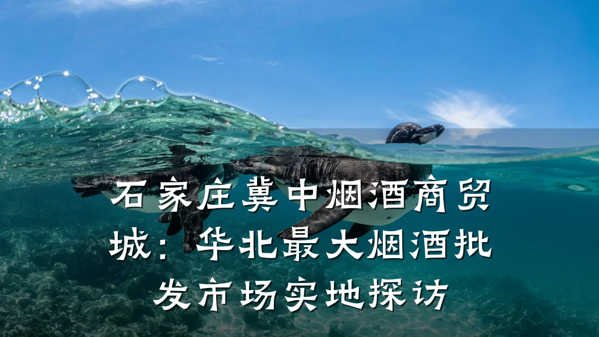 石家庄冀中烟酒商贸城:华北最大烟酒批发市场实地探访