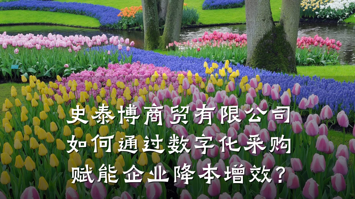 史泰博商贸有限公司如何通过数字化采购赋能企业降本增效?