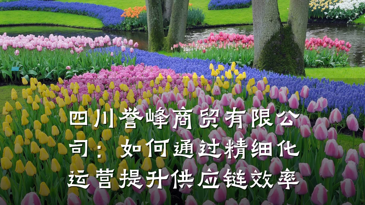 四川誉峰商贸有限公司：如何通过精细化运营提升供应链效率