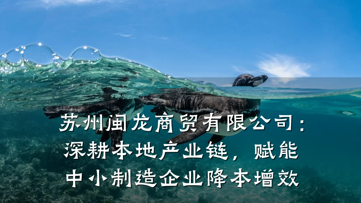 苏州闽龙商贸有限公司：深耕本地产业链，赋能中小制造企业降本增效