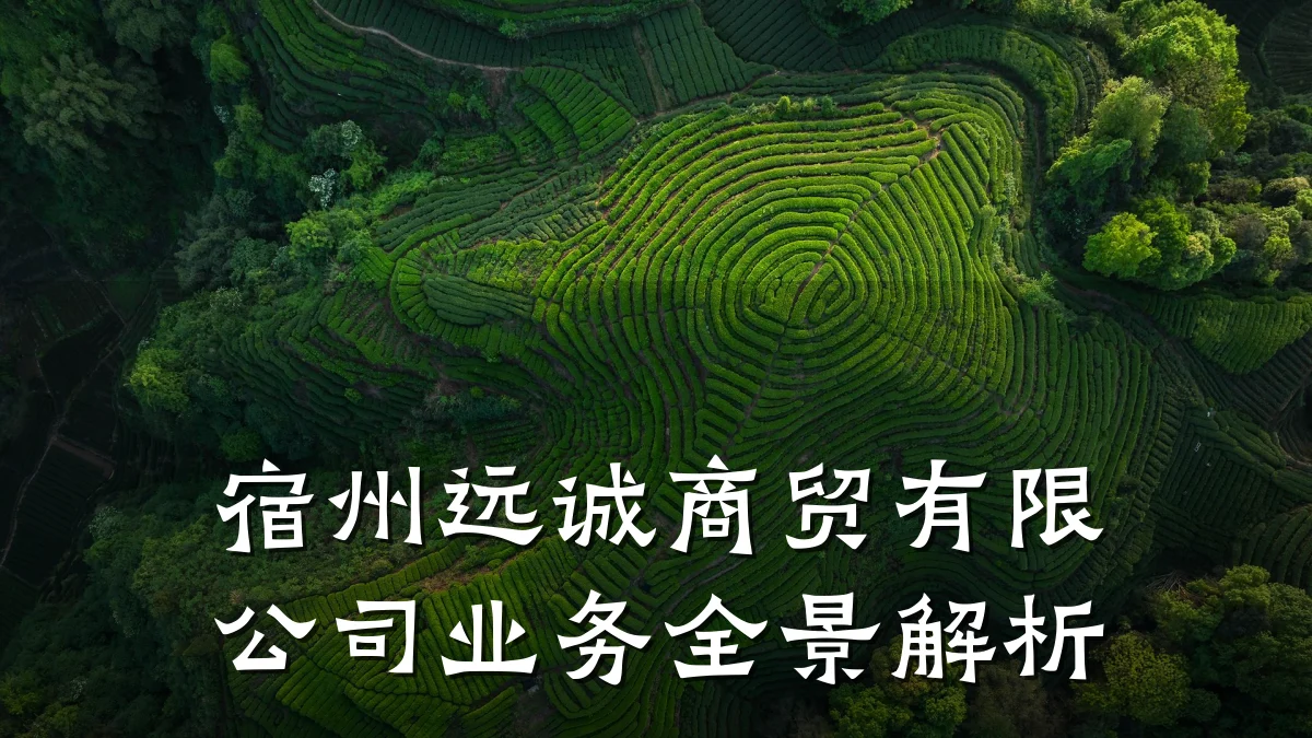 宿州远诚商贸有限公司业务全景解析