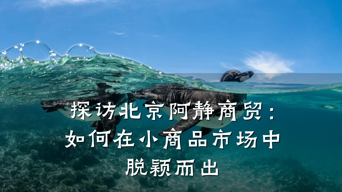探访北京阿静商贸:如何在小商品市场中脱颖而出