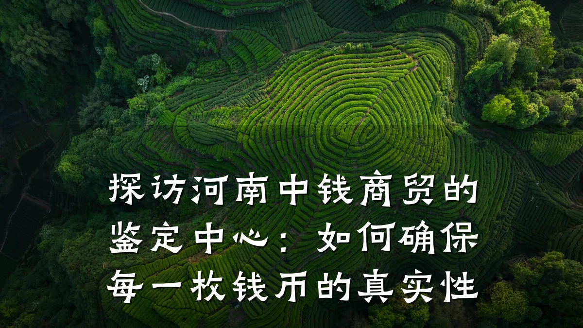 探访河南中钱商贸的鉴定中心:如何确保每一枚钱币的真实性