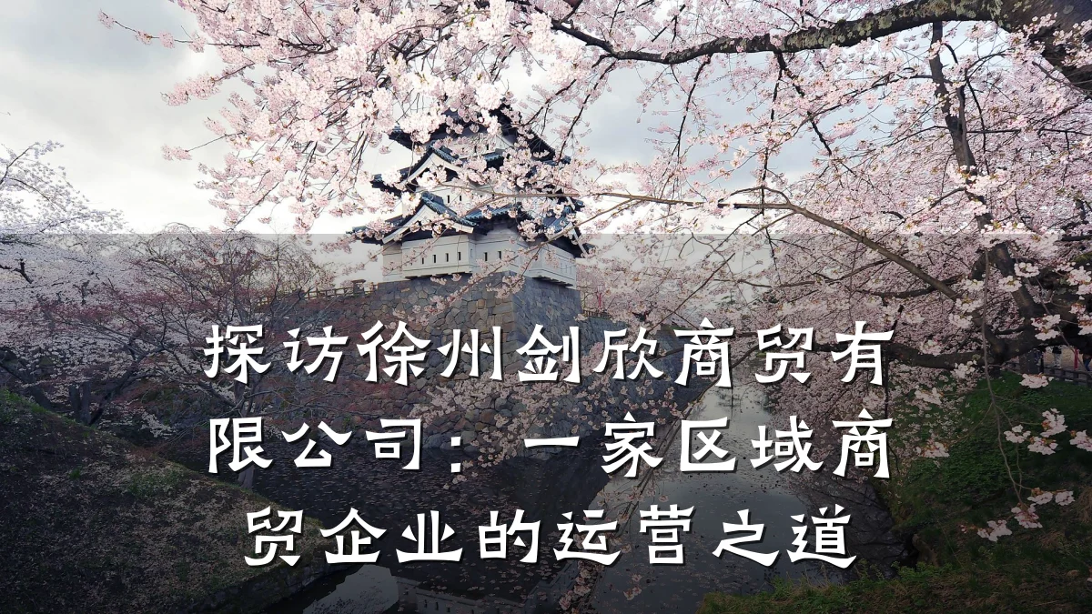 探访徐州剑欣商贸有限公司:一家区域商贸企业的运营之道