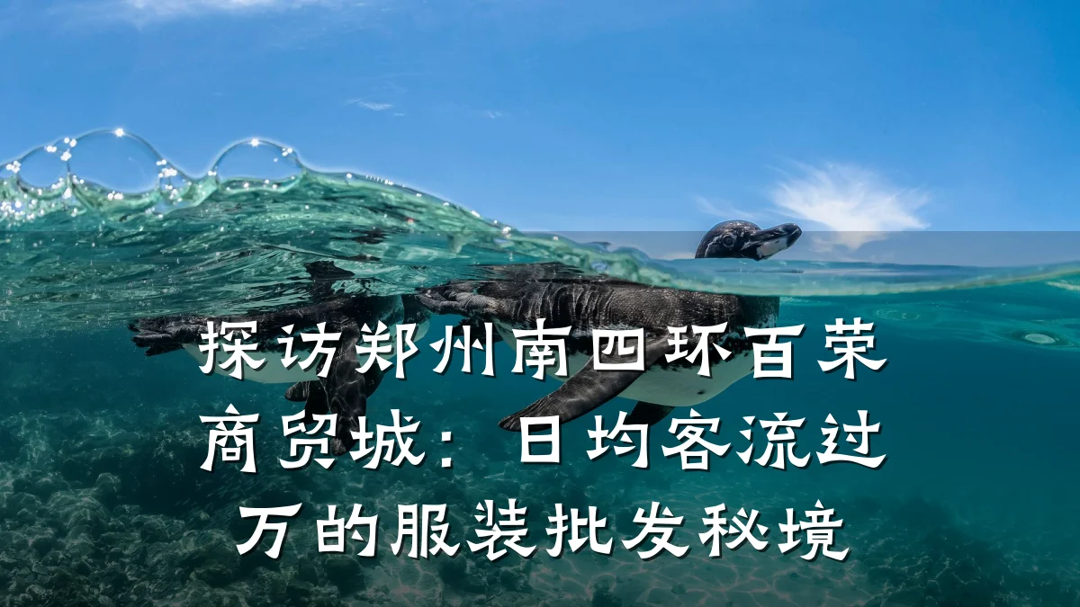 探访郑州南四环百荣商贸城：日均客流过万的服装批发秘境